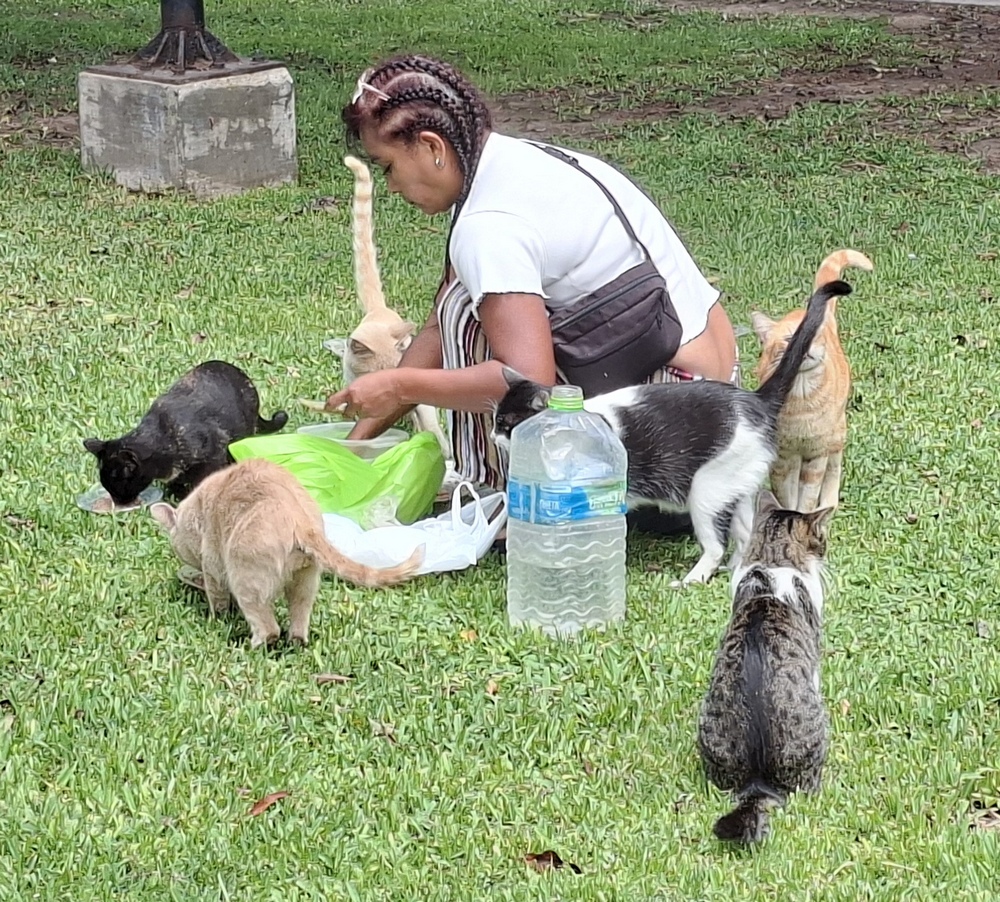 2026-03-24 Callao 20260324_115346_ji.jpg